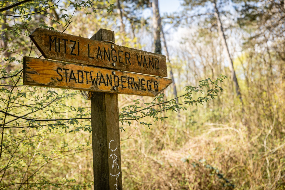 Stadtwanderweg 6