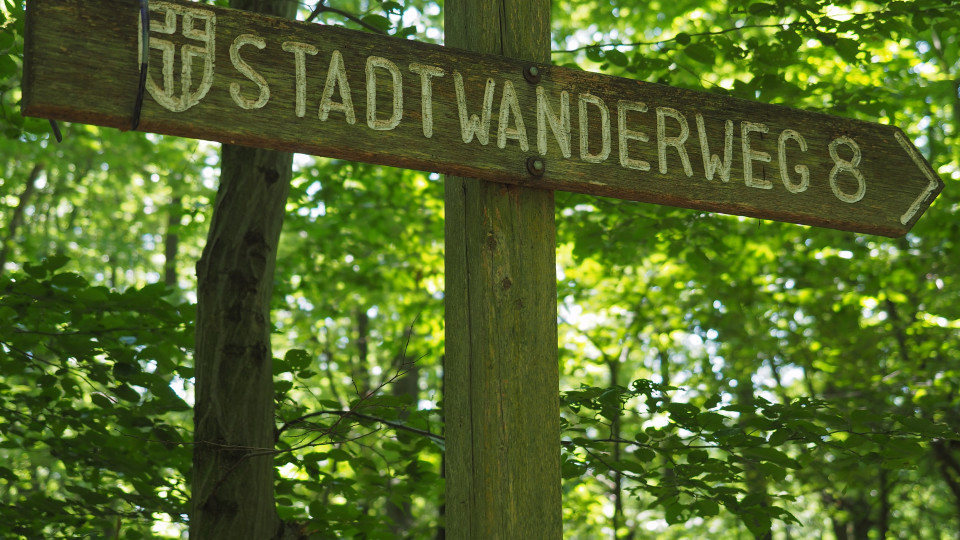 Wegweiser Stadtwanderweg 8