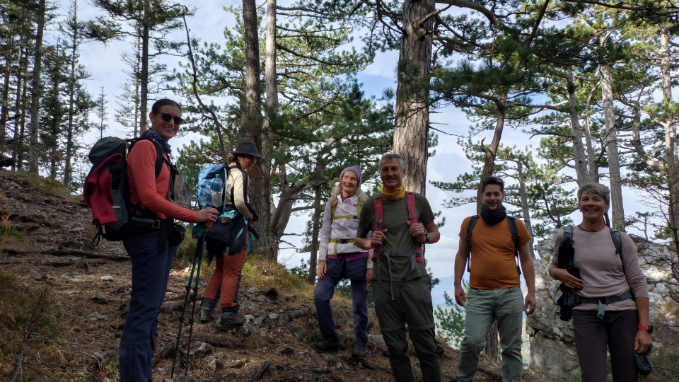 Unsere Gruppe beim Aufstieg durch den Wald.